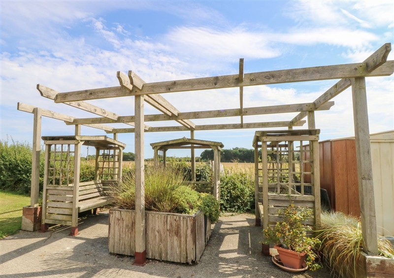 The garden at Driftwood Haven, Witterings Holiday Park near East Wittering