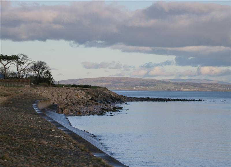 The setting of Driftwood Studio