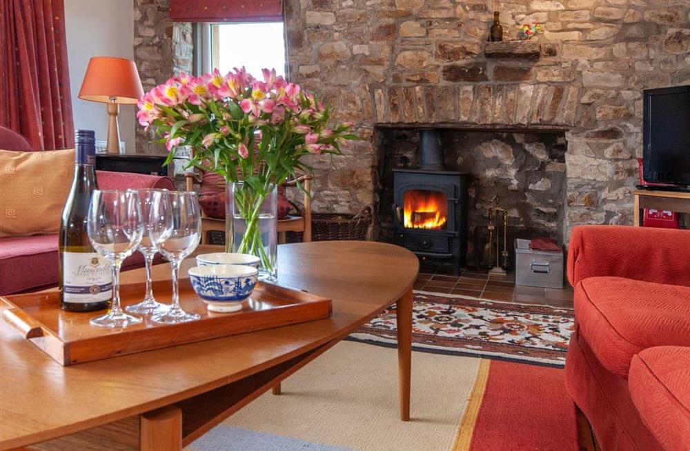 Enjoy the living room at Druidston Old Farmhouse in Druidston Haven, Pembrokeshire, Dyfed