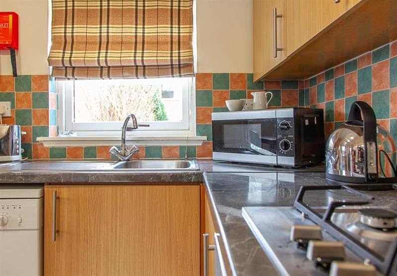 Kitchen area in the Lodge 2 Premier at Drummhor Holiday Park in Musselburgh, East Lothian