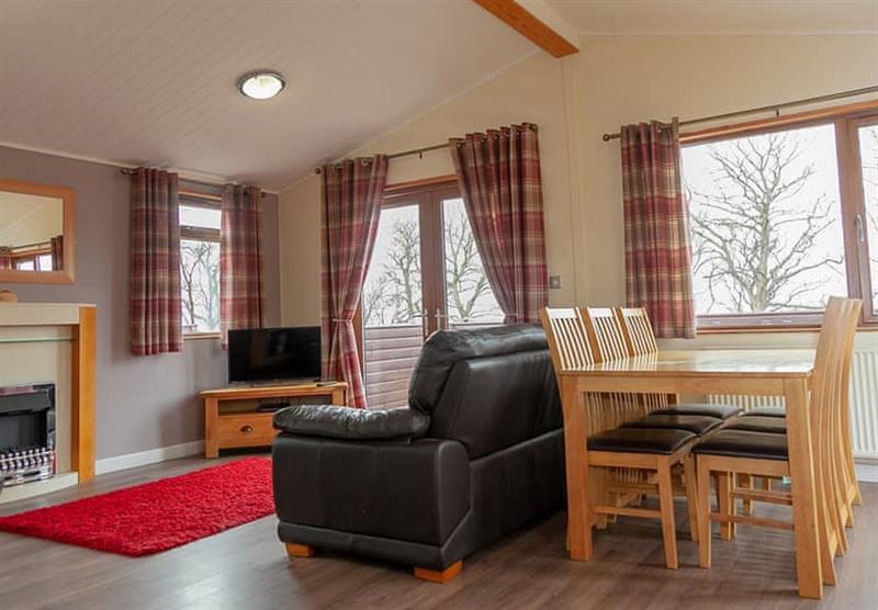 Living area in the Lodge 3 Standard at Drummhor Holiday Park in Musselburgh, East Lothian