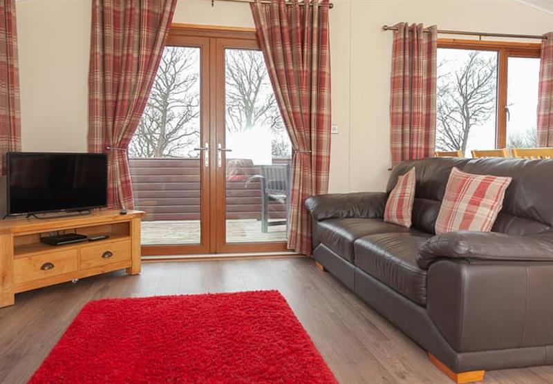 The living room in the Lodge 3 Standard (photo number 2) at Drummhor Holiday Park in Musselburgh, East Lothian