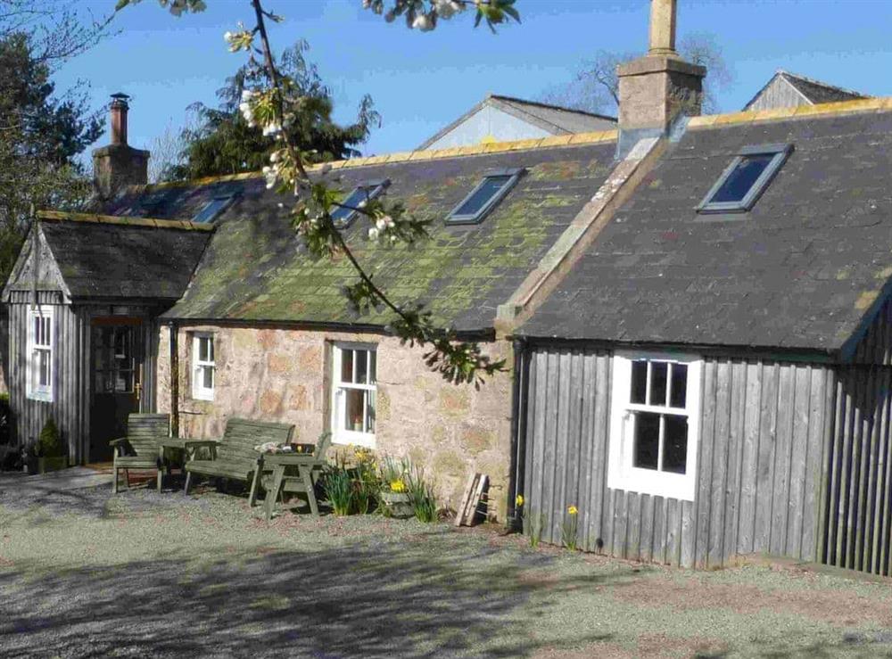 Delightful holiday cottage at Drumniall Cottage in Dinnet, near Aboyne, Aberdeenshire