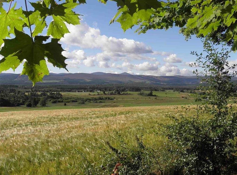 Stunning views of the surrounding countryside at Drumniall Cottage in Dinnet, near Aboyne, Aberdeenshire