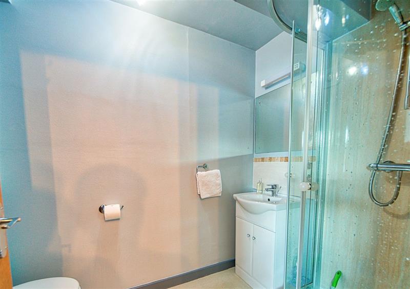 The bathroom at Drysgol Lakeside Apartment, Bala