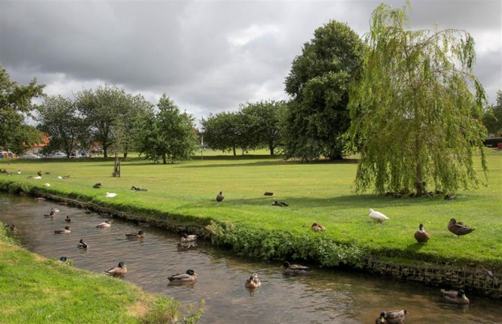 You are sure to see plenty of ducks during your stay in South Creake at Duck Cottage, South Creake near Fakenham