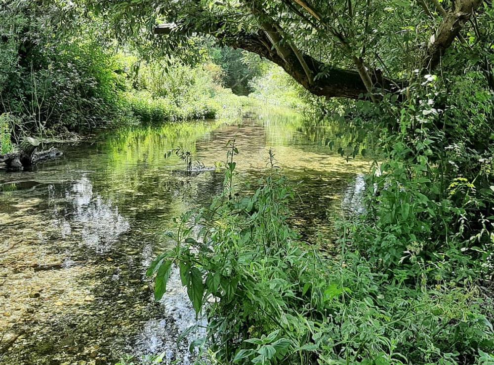 River at Duck Cottage at Duck Cottage in Winterbourne Dauntsey, Wiltshire
