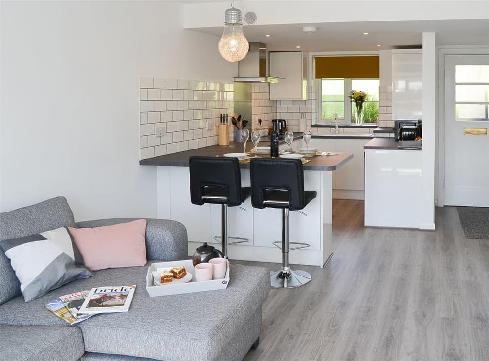 Open plan living space at Duck View in Thorpe Green, near Norwich, Norfolk