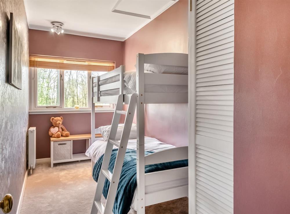 Bunk bedroom at Dunburgh Wood in Geldeston, Norfolk