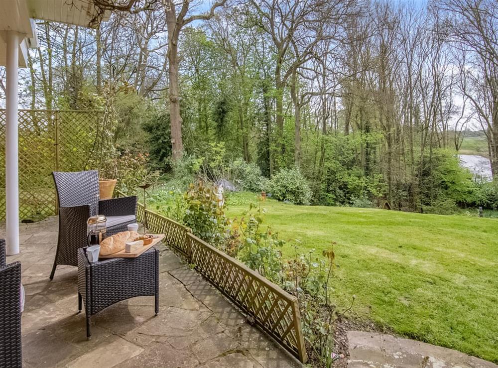 Outdoor area at Dunburgh Wood in Geldeston, Norfolk