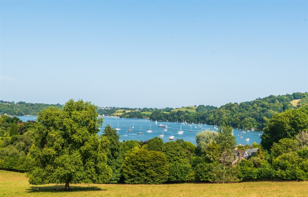 In the area at Dunedin Cottage in Dittisham