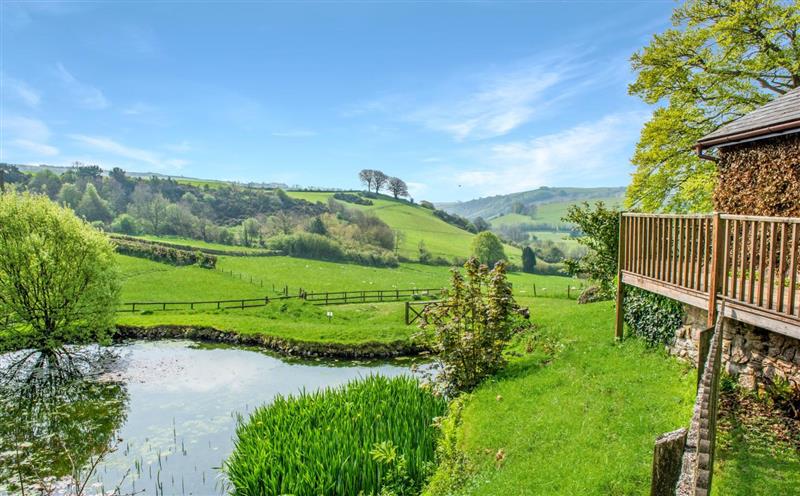 The setting around Dunkery Cottage