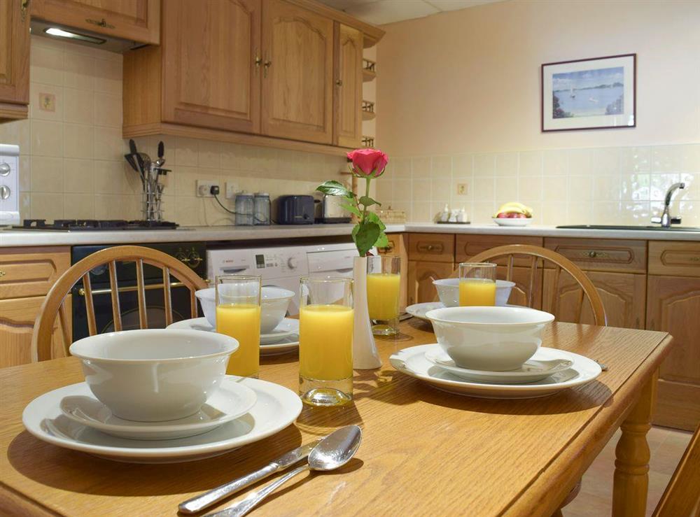 Well-equipped fitted kitchen at Dunns Meadow in Llanrhidian, near Swansea, West Glamorgan