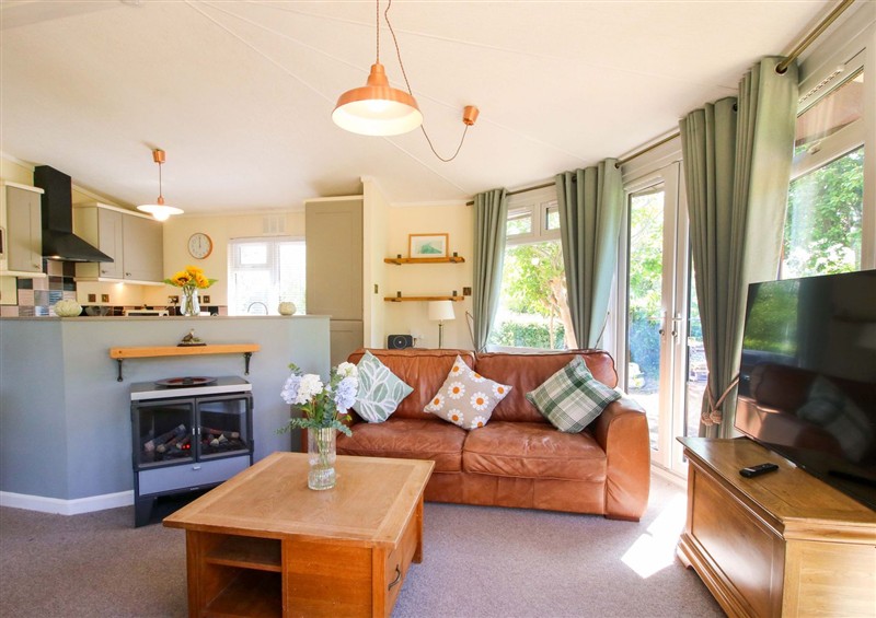 Relax in the living area at Dunromin, Montgomery