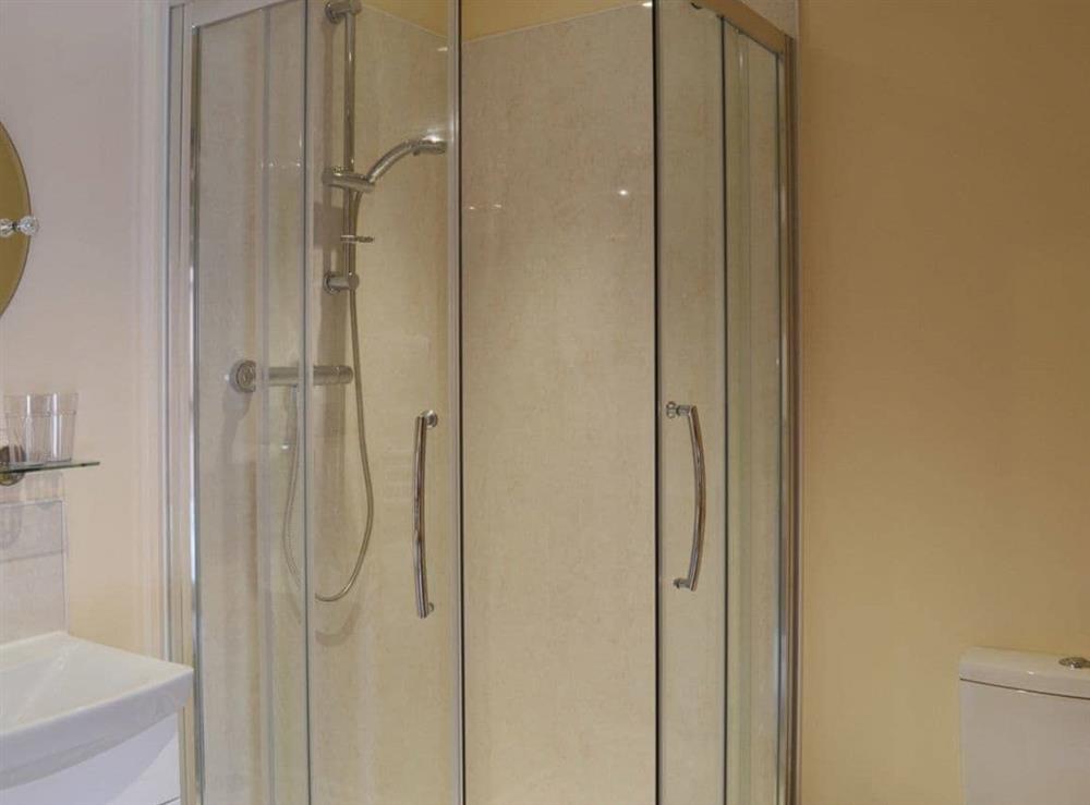 En-suite shower room with wc at The Old Dairy, 