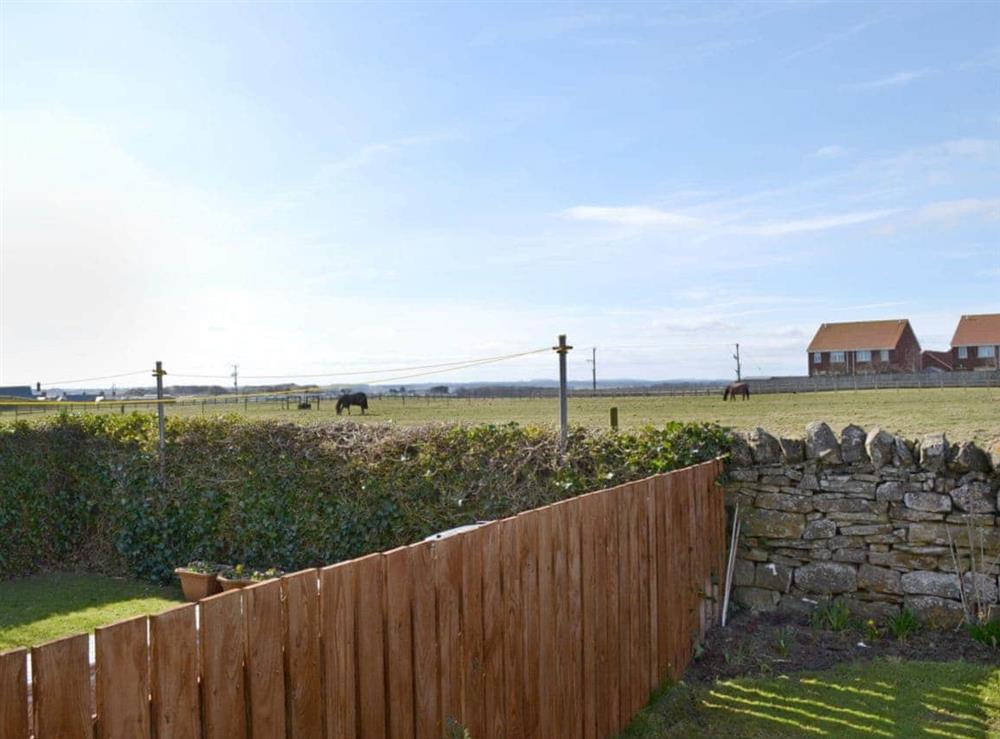 Wonderful views from garden at Dunstanbrough View in Beadnell, Northumberland