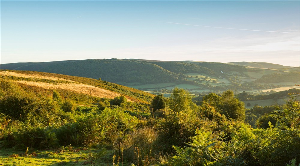 View from Horner Wood towards Selworthy village and Selworthy Beacon at Dunster Keeper's House in Dunster, Somerset
