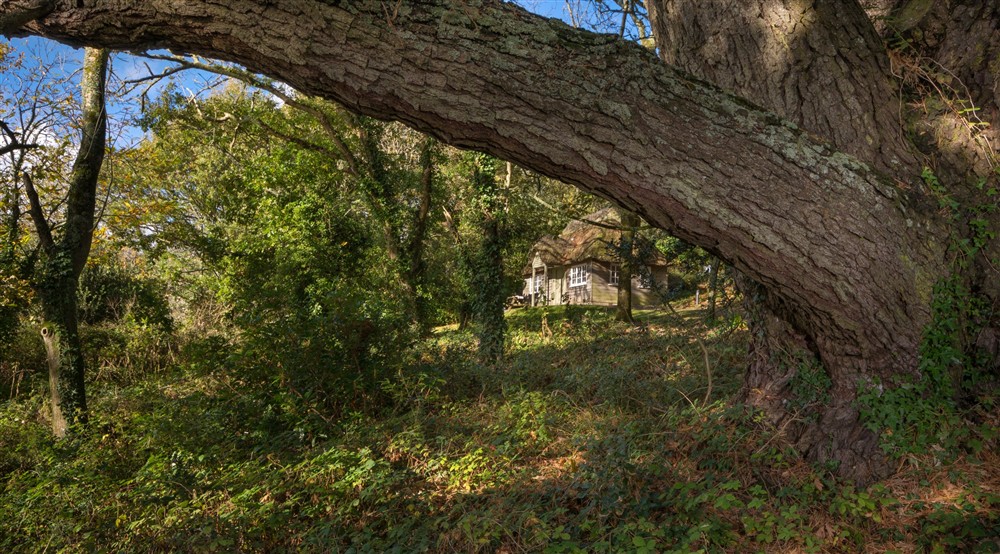 The exterior of Durgan Wood Cottage, Cornwall (photo 4) at Durgan Wood Cottage in Falmouth, Cornwall