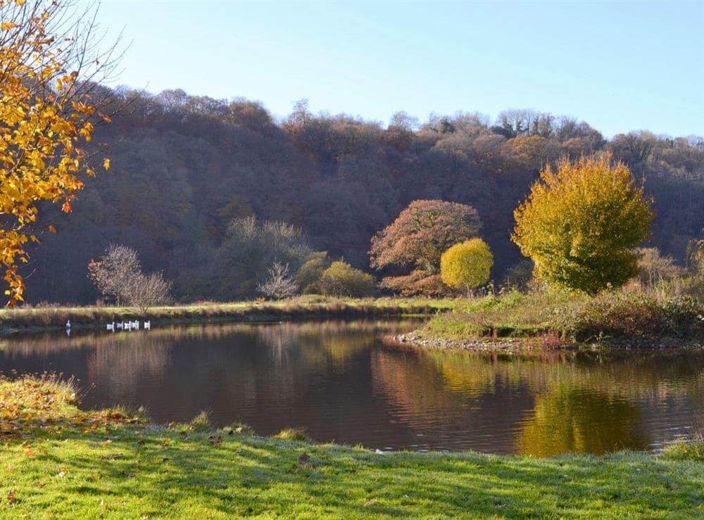 Autumn by the lake at Duvale Priory in Bampton, near Tiverton, Devon