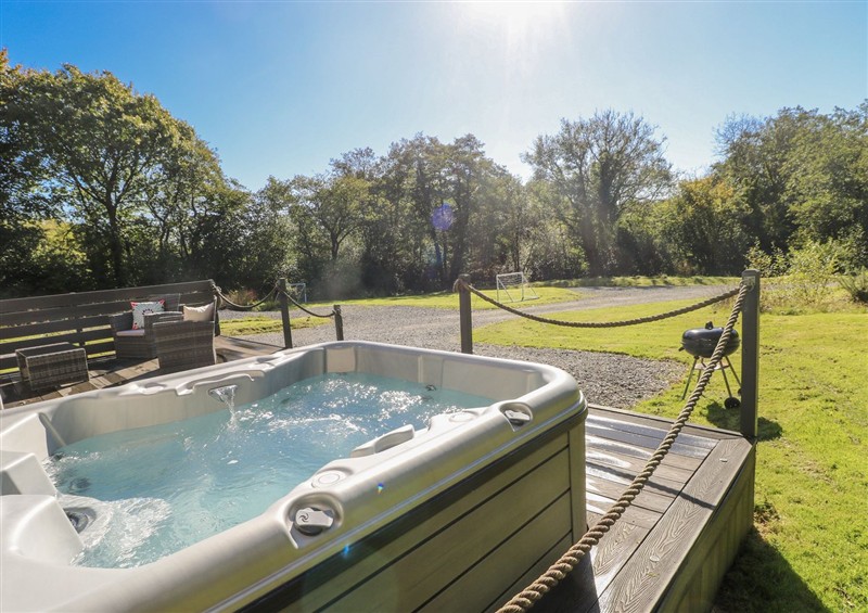 Enjoy the hot tub at Dwrgi, Aber near Llanybydder