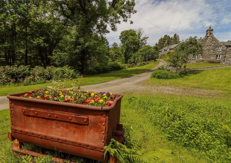 This is the garden at Dwynant, Bontddu near Dolgellau