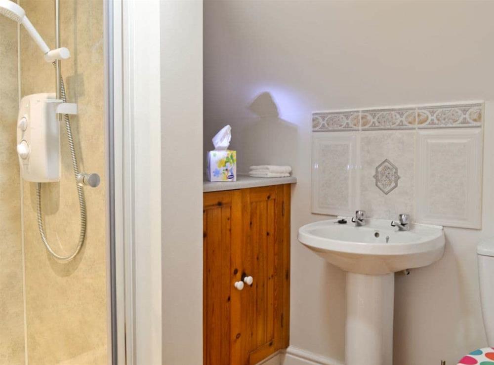 En-suite shower room (photo 2) at Dyffryn Haidd in Llanafan, near Aberystwyth, Dyfed