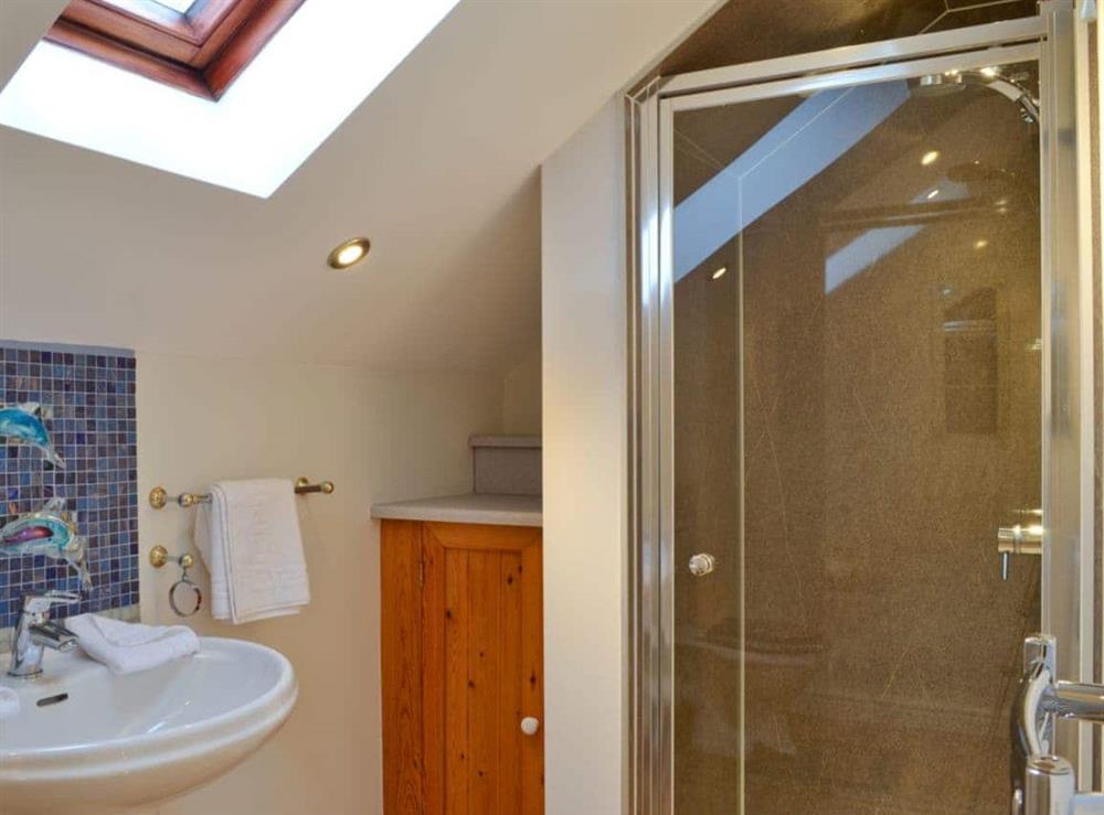 En-suite shower room at Dyffryn Haidd in Llanafan, near Aberystwyth, Dyfed