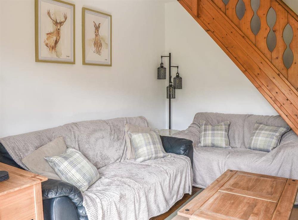 Living room (photo 2) at Dyfnant Cottage in Cwm Penmachno, near Betws-y-Coed, Gwynedd