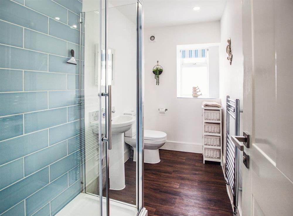 Shower room at Dyma Y Bywyd in Tenby, Pembrokeshire, Dyfed