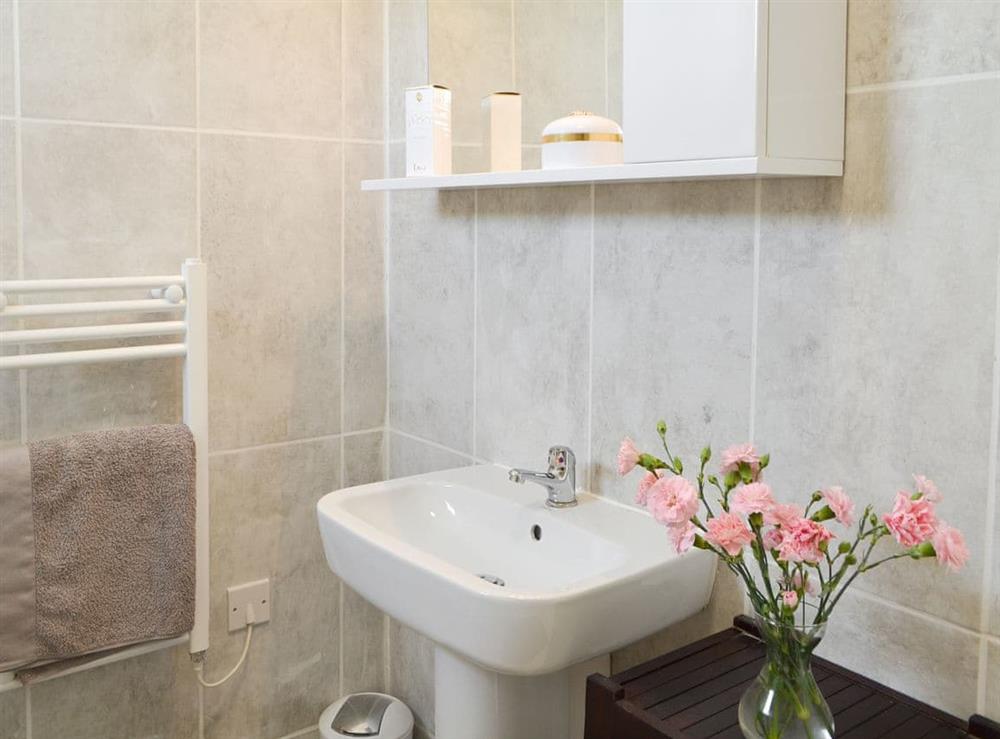 Family shower room with heated towel rail at The Duck House, 