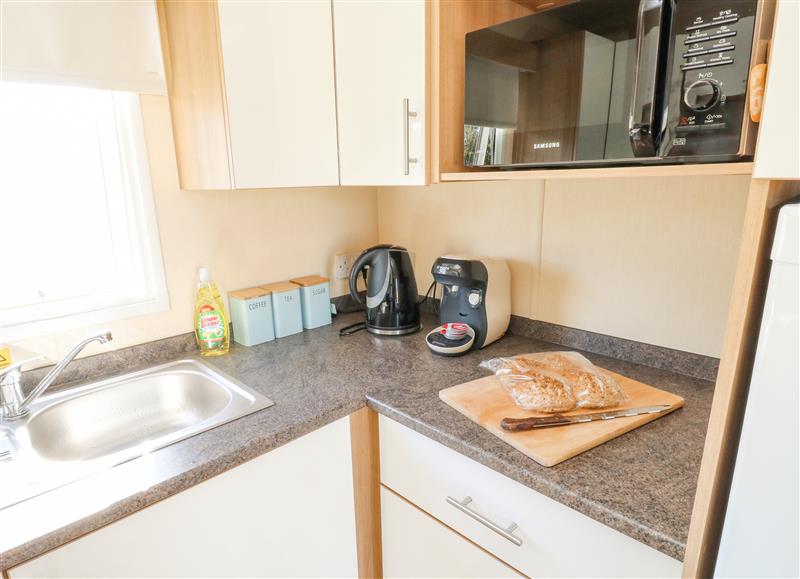 The kitchen at E10 Eagle Meadows, Hoburne Devon Bay Holiday Park near Paignton