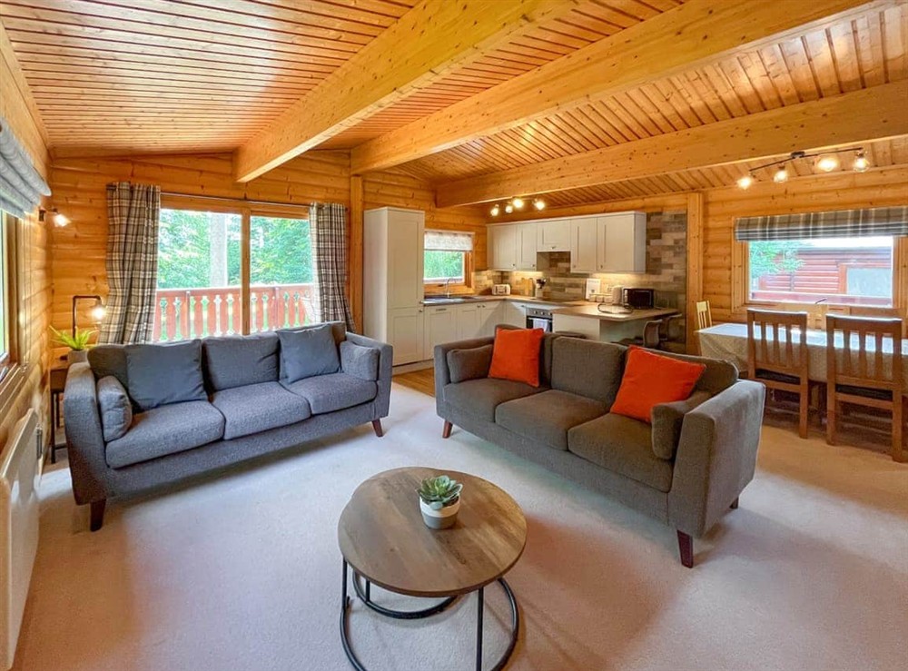 Living area at Eagle Lodge in Kenwick, near Louth, Lincolnshire