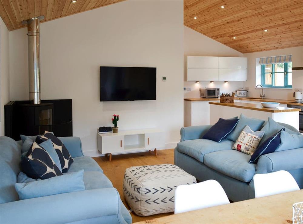Open plan living space with beams and wooden floor at Eagle Owl Lodge in Winnard’s Perch, near St Columb Major, Cornwall