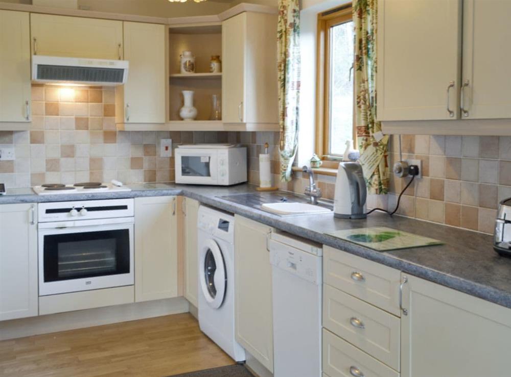 Well-equipped kitchen at Eagles Nest in St Mellion, near Saltash, Cornwall
