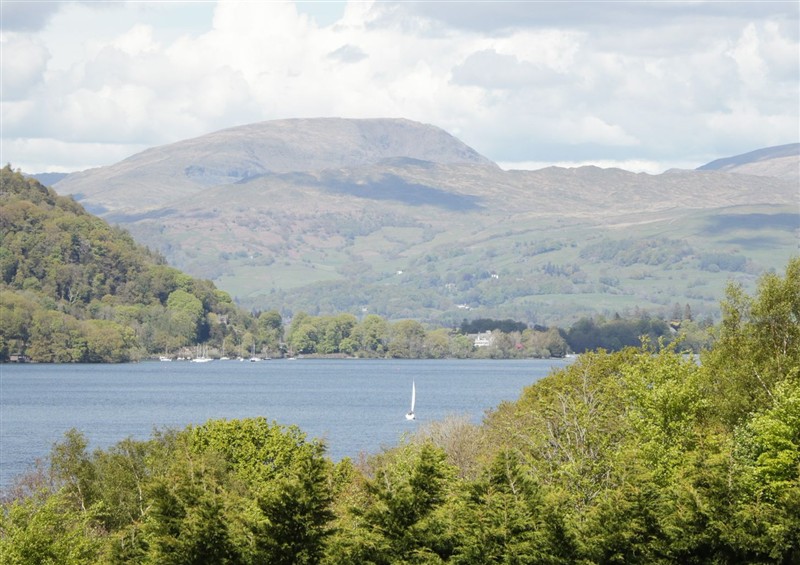 In the area at Easedale Lodge, Waterside Wood 2