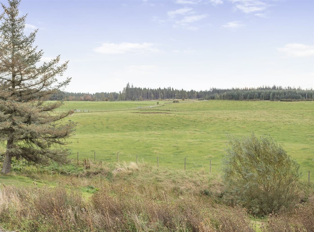 Surrounding area at East Cottage in Cawdor, Morayshire