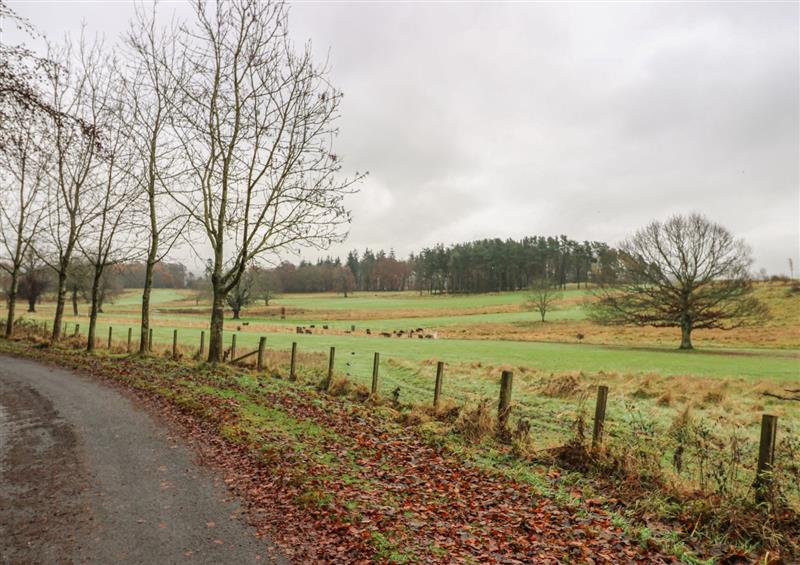 Rural landscape at East Cottage, Cupar
