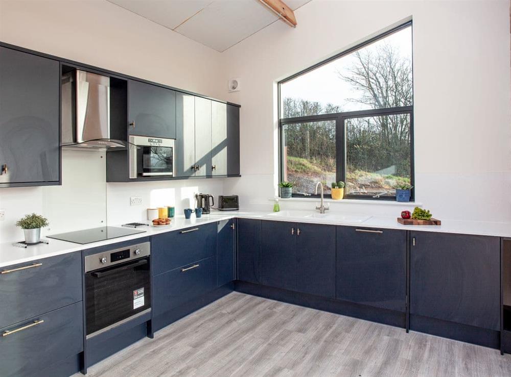 Kitchen area (photo 5) at East Dunster Deer Farm – Kingfisher Lodge in Cadeleigh, Devon