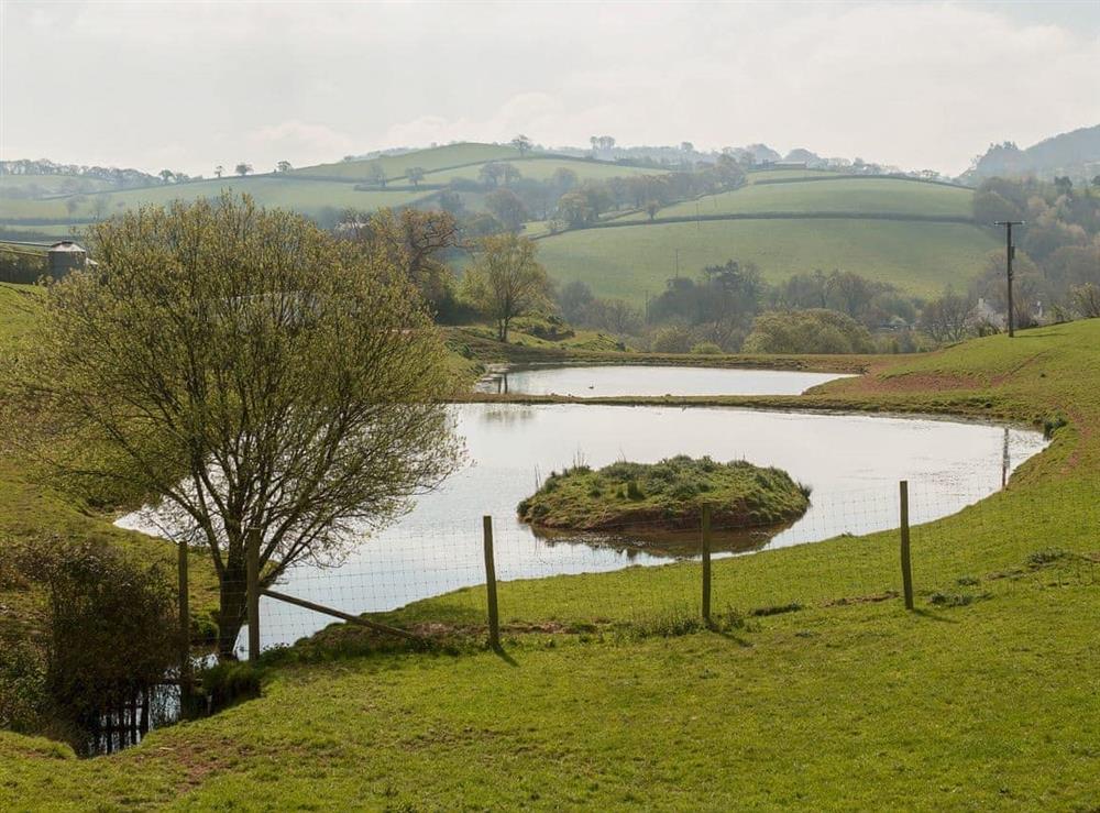 Surrounding area at East Dunster Deer Farm – Kingfisher Lodge in Cadeleigh, Devon