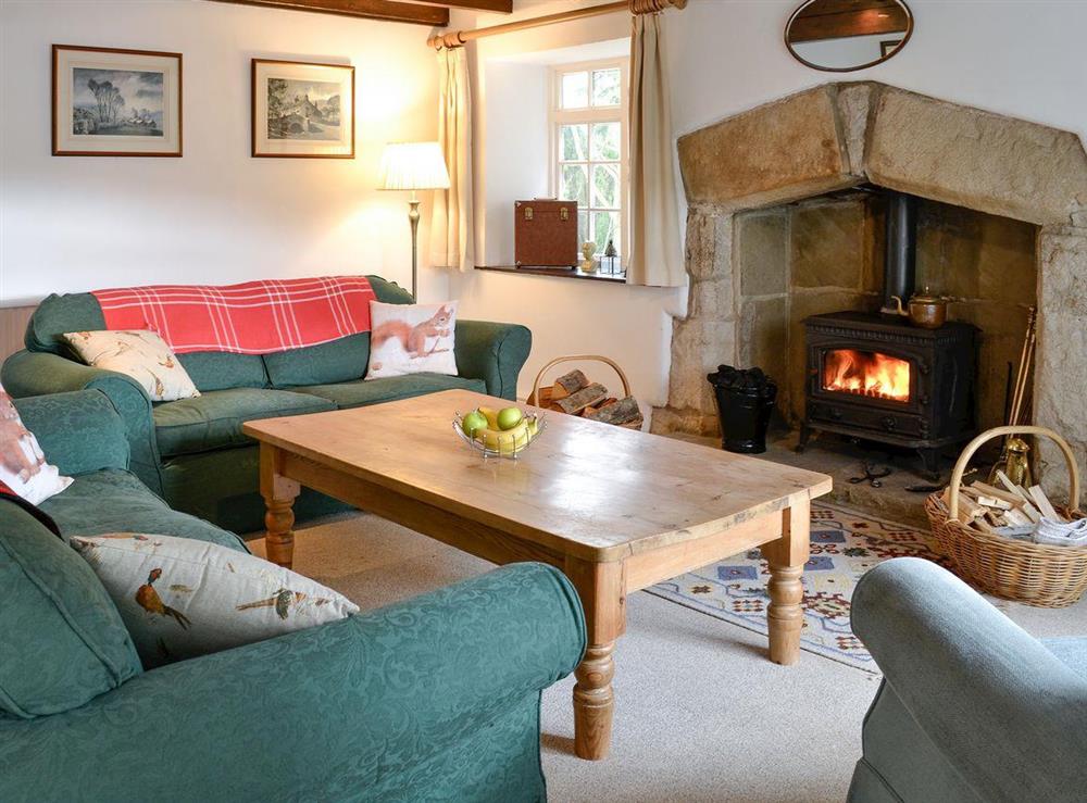 Cosy living room with wood burner at East House Farm in Beckermonds, near Kettlewell, Yorkshire, North Yorkshire