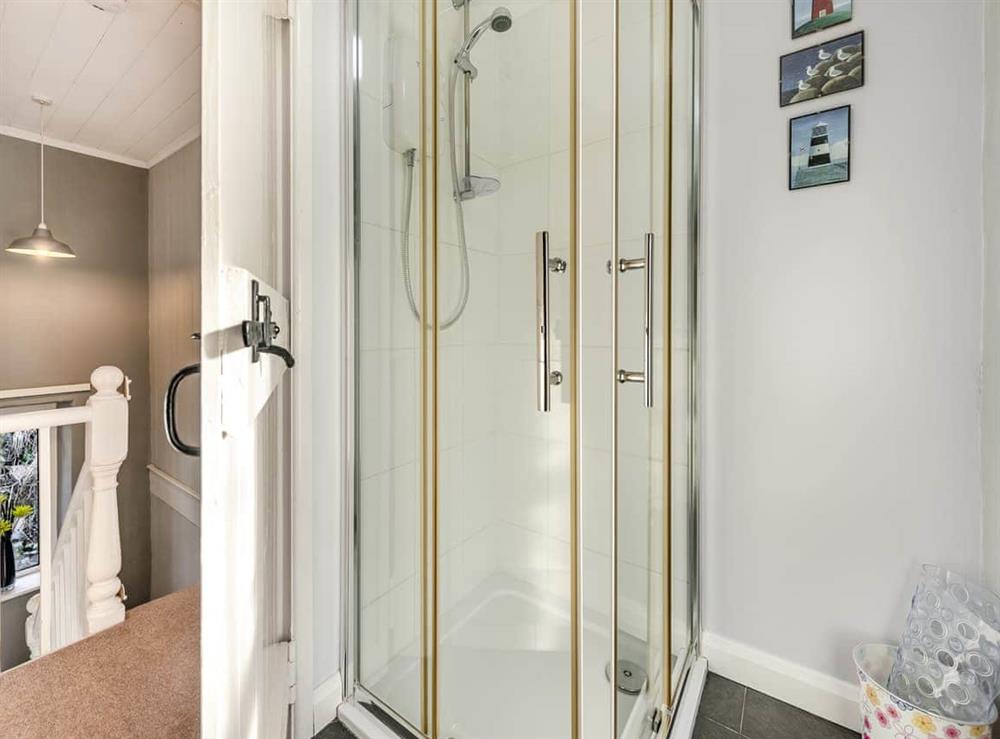 Shower room (photo 2) at East Llwyn in Rhydowen, Dyfed