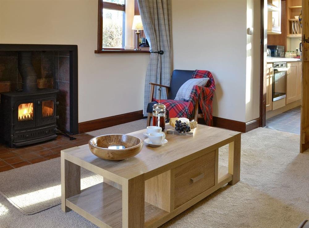 Stylish living area at East Lodge in Islesteps, near Dumfries, Dumfriesshire