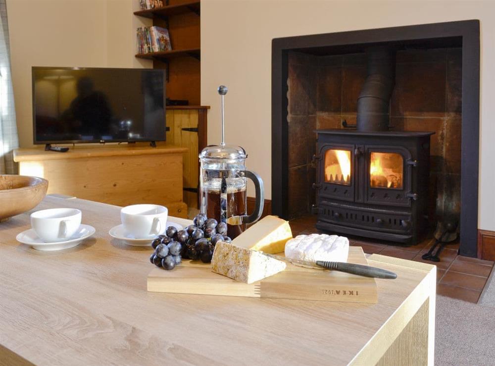 Warming wood burner at East Lodge in Islesteps, near Dumfries, Dumfriesshire