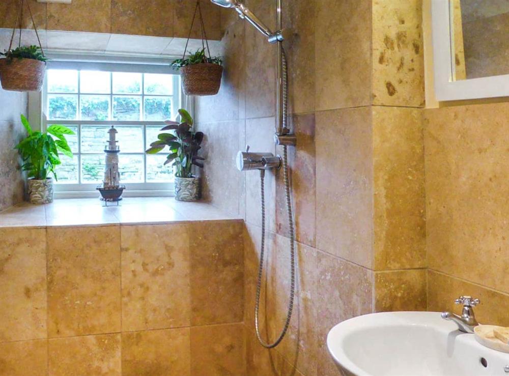 Bathroom at East Titchberry Cottage in Hartland, Devon