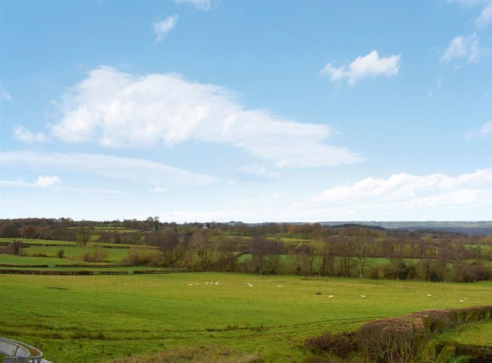 View at East View Farm : Badgers Den in Westbrook, Herefordshire