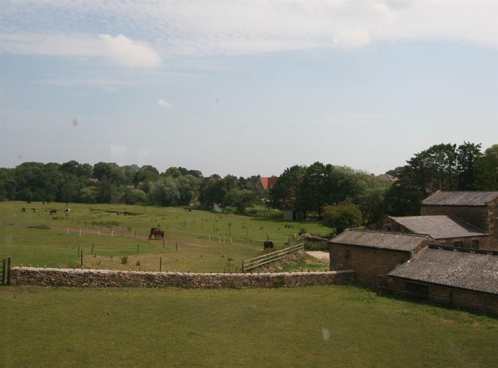 A photo of East Wing Cottage, West Ayton (Deluxe)