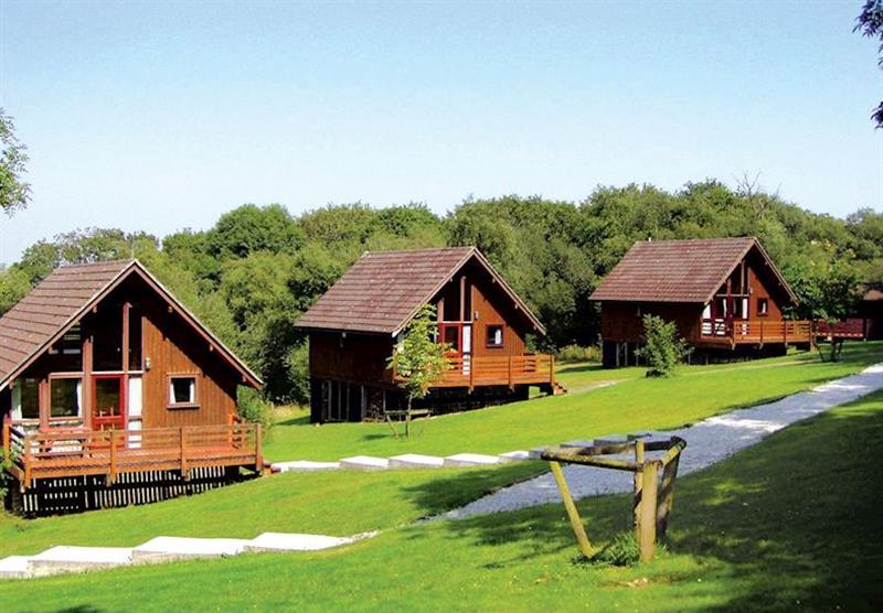 Nordic Lodge setting at Eastcott Lodges in North Cornwall, South West of England