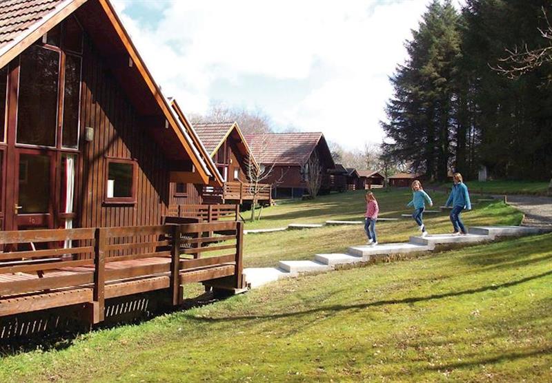Nordic Lodge at Eastcott Lodges in North Cornwall, South West of England