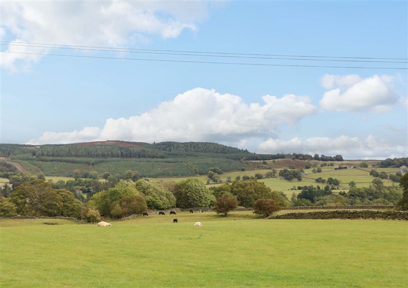 Enjoy the garden (photo 2) at Eastfield Farm, Mickleton
