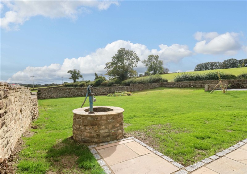 Enjoy the garden at Eastfield Farm, Mickleton